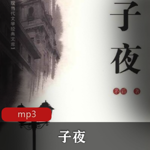 有声小说《妈阁是座城》 播讲：田洪涛