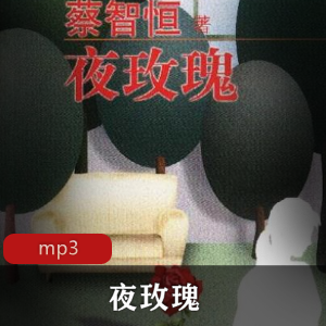 有声小说《夜玫瑰》痞子蔡作品