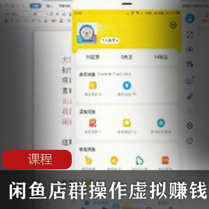 实用的赚钱项目《闲鱼店群操作虚拟项目》课程