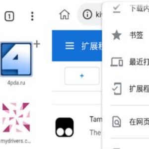 禁止黑客入侵猕猴桃浏览器《KiwiBrowser》