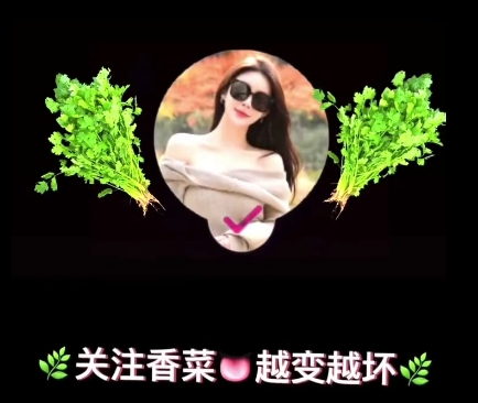 推特up主<香菜老师>留学女神的扇贝