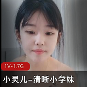 小灵儿3V3.2G清晰小学妹