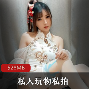 私人玩物私拍作品网红美腿白丝高端气质服装诱惑力合集528MB