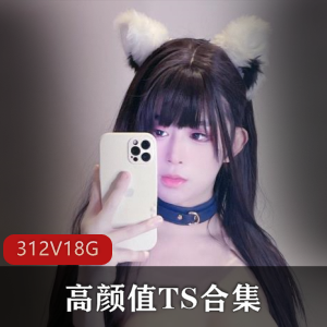 高颜值TS露脸合集，312个视频18.4G，TS李智贤、TSdingkubel等人露脸推特OnlyFans下载收藏