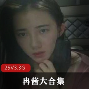 苏小美内部合集28部，精彩不容错过