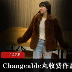 Changeable丸：超薄线袜专业户，视频合集曝光